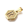 304 Stainless Steel Charms LS-STAS-H227-01G-R-2