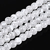 Baking Paint Glass Beads Strands DGLA-N015-4mm-01-1