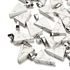 Natural Howlite Pendants G-B127-04P-12-1