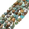 Raw Rough Natural HuBei Turquoise Beads Strands G-A322-B03-01-2