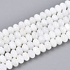 Natural Freshwater Shell Beads Strands SHEL-N038-30-1