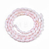 Natural Freshwater Shell Beads Strands X-SHEL-N003-25-B06-2