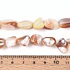 Natural Sea Shell Beads Strands SSHEL-N041-02B-4