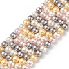 Shell Pearl Bead Strands BSHE-L017-17-3