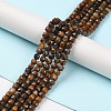 Natural Tiger Eye Beads Strands G-P500-02A-02-2