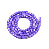 Natural Freshwater Shell Beads Strands SHEL-N003-33-A02-2