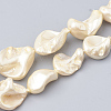 Shell Pearl Beads Strands BSHE-Q031-15H-1