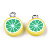 Handmade Polymer Clay Charms CLAY-T016-59B-2