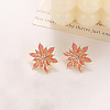 Alloy Enamel Stud Earrings WG34768-03-1