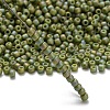 TOHO 11/0 Round Beads X-SEED-TR11-2632F-2