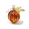 Transparent Acrylic 304 Stainless Steel Pendants PALLOY-TA00447-1