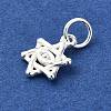 925 Sterling Silver Star of David with Eye Charms STER-M119-11S-2