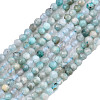 Natural Russia Amazonite Beads Strands G-S300-13-2mm-1