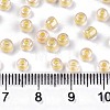 6/0 Glass Seed Beads X1-SEED-A015-4mm-2202-4