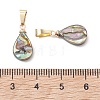 Abalone Shell/Paua Shell Pendants PALLOY-JF05263-4