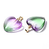 Two Tone Spray Painted Glass Pendants X-GLAA-N035-016-C01-3