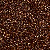 11/0 Silver Lined Grade A Transparent Glass Seed Beads X-SEED-Q007-F54-2