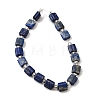 Natural Lapis Lazuli Beads Strands G-Z087-D01-3