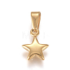 304 Stainless Steel Charms STAS-I127-067G-01-1