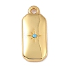 Brass Micro Pave Cubic Zirconia Charms ZIRC-I054-12G-2
