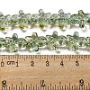 Glass Beads Strands GLAA-B018-03B-4