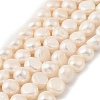 Natural Cultured Freshwater Pearl Beads Strands PEAR-P064-19L-02B-2