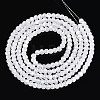 Baking Paint Glass Beads Strands DGLA-N015-4mm-01-2