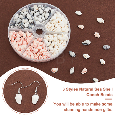   3 Strands 3 Styles Natural Sea Shell Conch Beads Strands SHEL-PH0001-44-1
