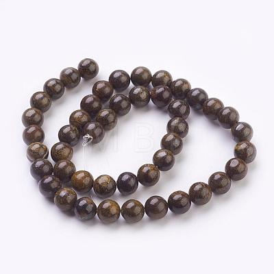 Natural Bronzite Beads Strands G-Q605-25-1