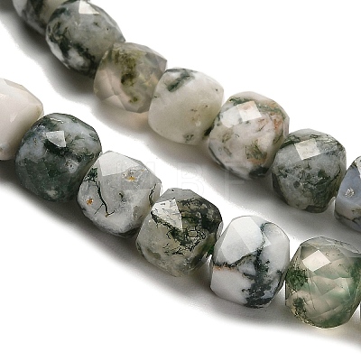 Natural Tree Agate Beads Strands G-H078-C06-01-1