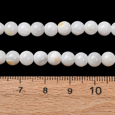 Natural Freshwater Shell Beads Strands SH-CBA2978-07D-04-1