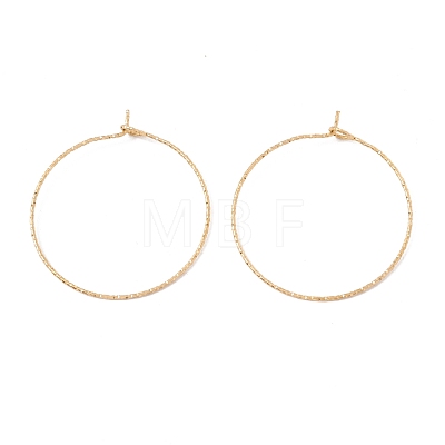 Ion Plating(IP) 316 Surgical Stainless Steel Hoop Earrings Findings STAS-D183-02G-03-1