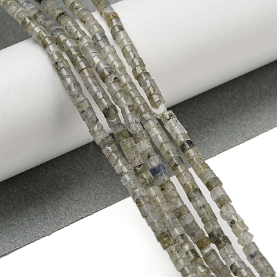 Natural Labradorite Beads Strands G-C084-D13-02-1