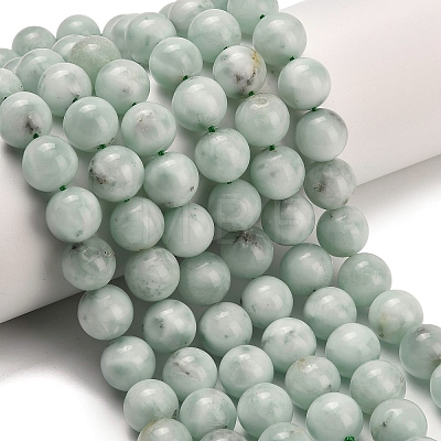 Glass Beads Strands G-L642-B18-12mm-1