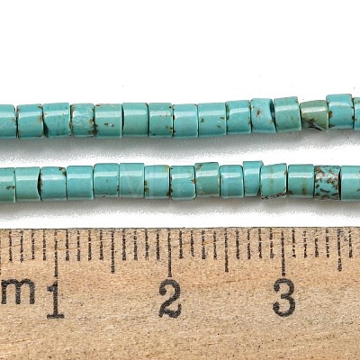 Natural Turquoise Beads Strands X-G-C084-D10-02-1