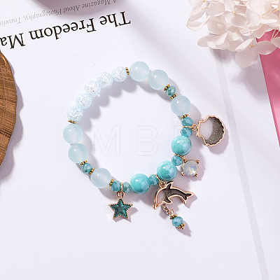2Pcs 2 Styles Plastic & Glass Beaded Stretch Bracelets FS-WGE3E77-03-1