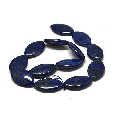 Natural Lapis Lazuli Beads Strands G-K311-08B-1