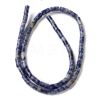 Natural Blue Spot Jasper Beads Strands G-B091-A03-01-1