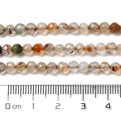 Natural Agate Beads Strands G-H302-A01-05-1