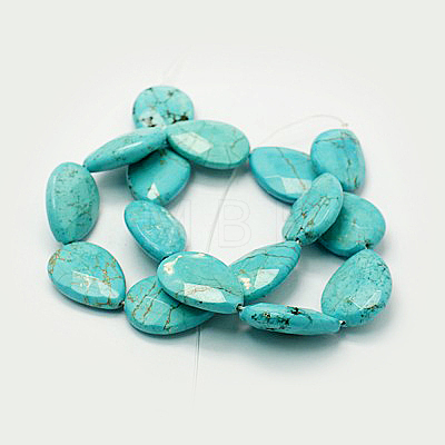 Natural Magnesite Beads Strands TURQ-P027-46-1