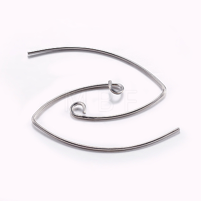 Brass Earring Hooks LS-KK-K197-60P-1