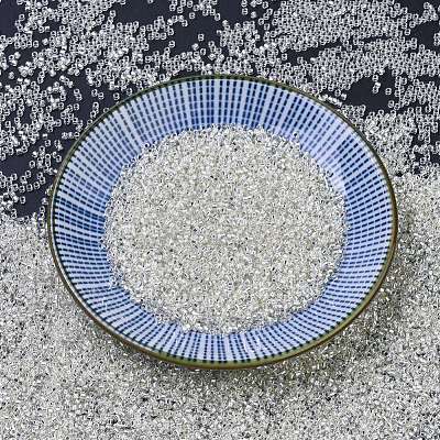 MIYUKI Delica Beads SEED-X0054-DB0041-1
