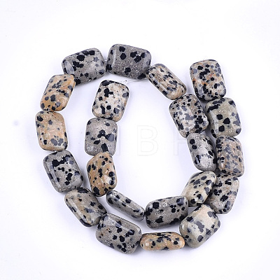 Natural Dalmatian Jasper Beads Strands X-G-T121-16-1