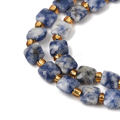 Natural Blue Spot Jasper Beads Strands GG-CBA96AE-A09-6x6mm-1