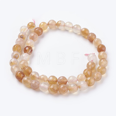 Natural Agate Beads Strands G-G580-8mm-30-1