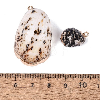 Electroplate Natural Spiral Shell Pendants SSHEL-Q100-41G-1