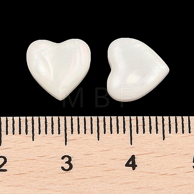 Opaque Resin Decoden Cabochons CRES-I036-16B-1