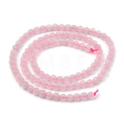 Natural Rose Quartz Round Bead Strands X-G-P072-05-4mm-1