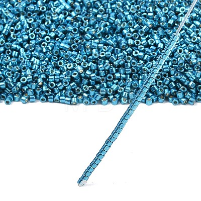 MIYUKI Delica Beads LS-X-SEED-J020-DB2513-1