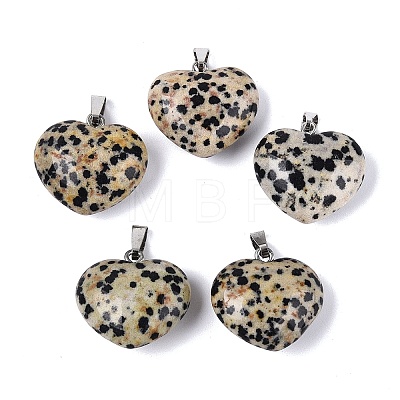 Natural Dalmatian Jasper Pendants G-N362-05P-09-1